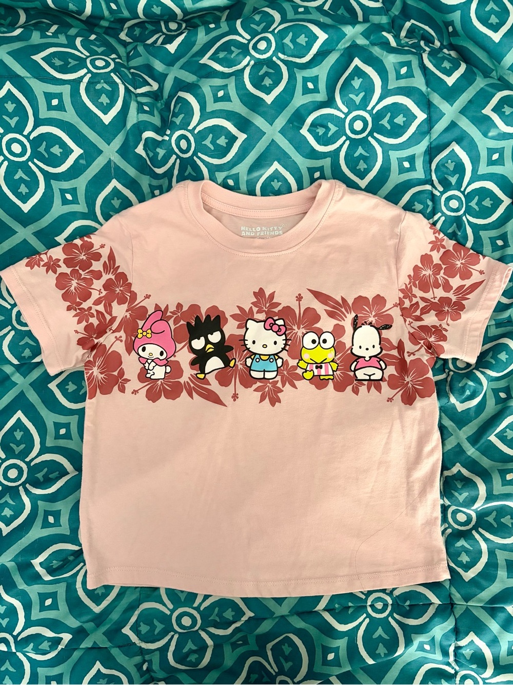 Hello Kitty and Friends T shirt